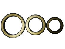 OIL SEALS