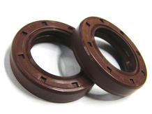 VITON FKM SEAL
