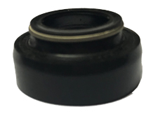 VITON FKM SEAL